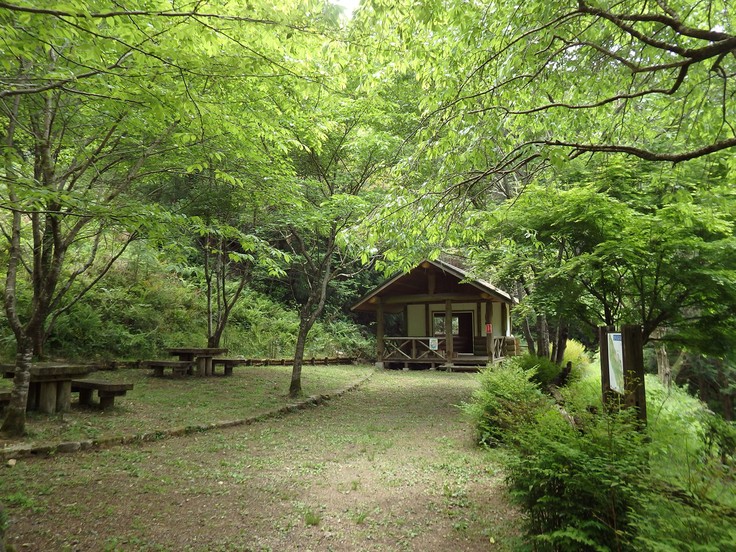 d0054276_20385010.jpg