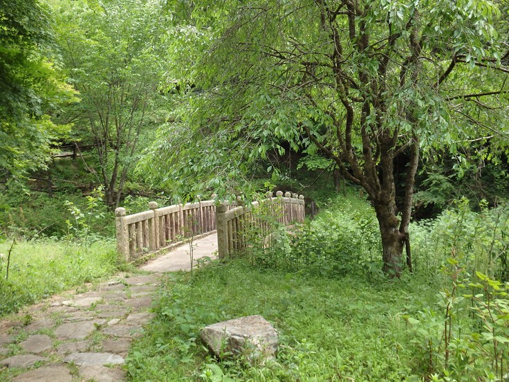 d0054276_2038920.jpg