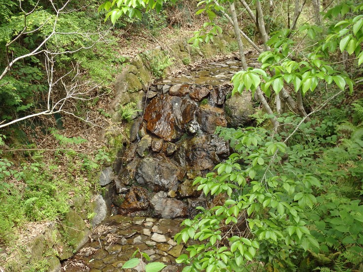 d0054276_20391099.jpg