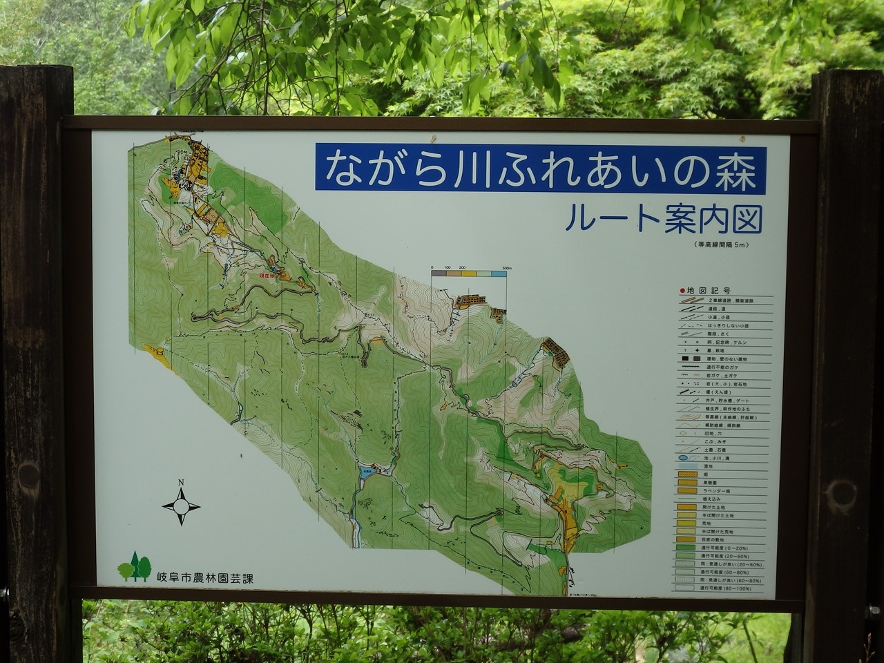 d0054276_203914.jpg