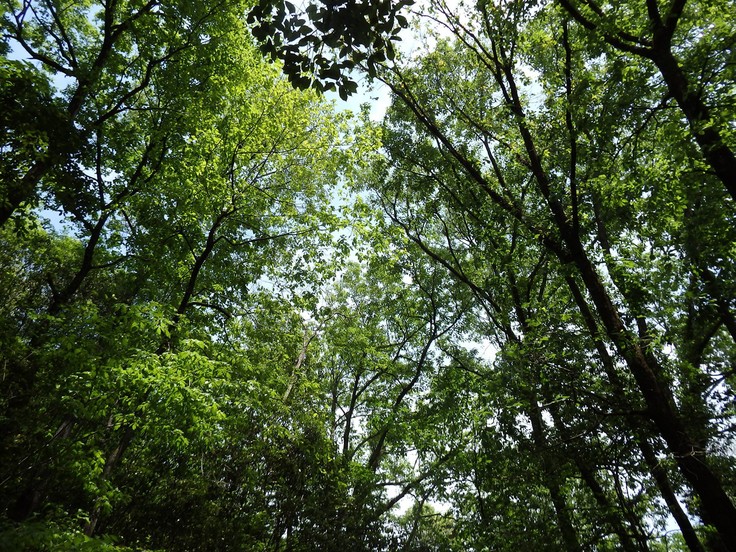 d0054276_20401340.jpg