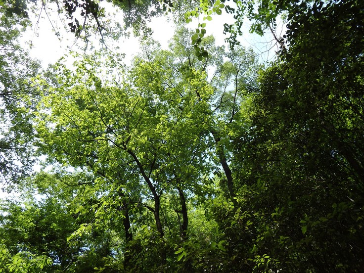 d0054276_2040365.jpg