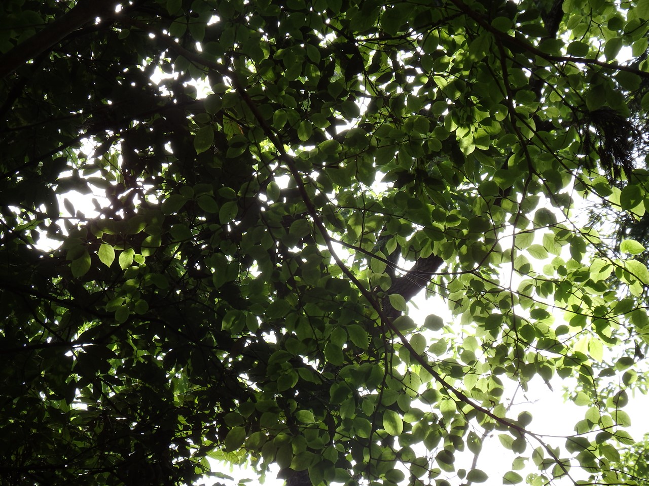 d0054276_20412690.jpg