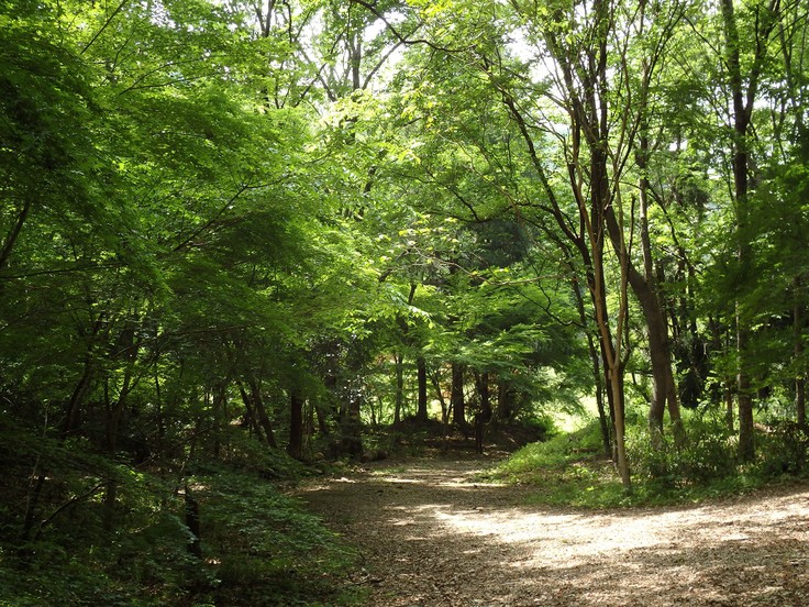 d0054276_20413542.jpg
