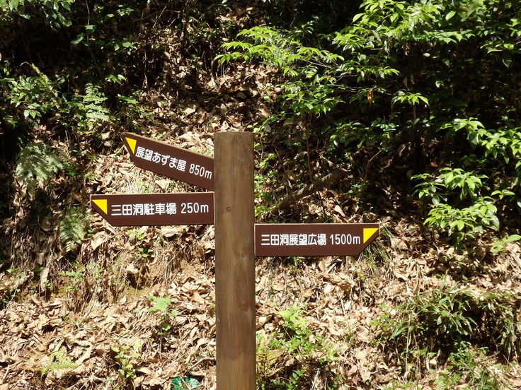 d0054276_2041512.jpg