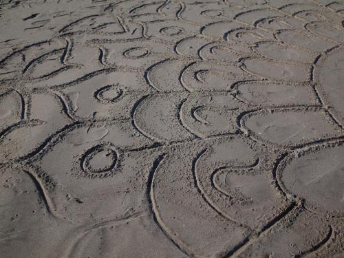 砂浜の絵 写真散歩 Photoing In Neighborhood 砂浜の絵 写真散歩 Photoing In Neighborhood