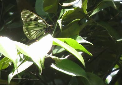 d0020180_10051475.jpg