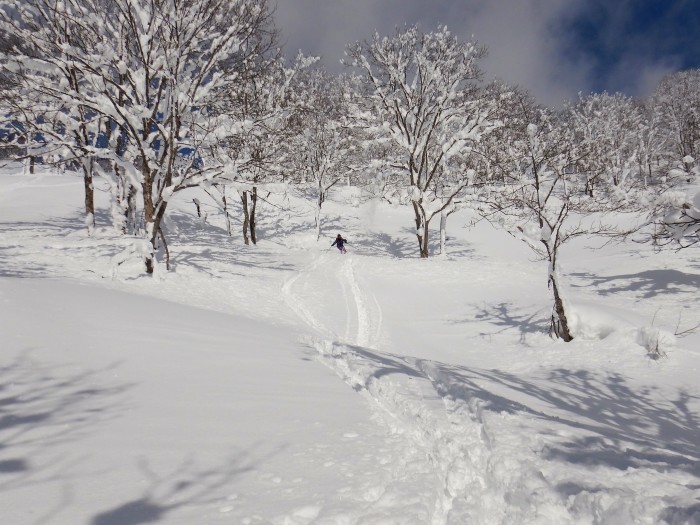 八ツ楯山 ～ ２０１９年２月１１日_f0170180_09544572.jpg