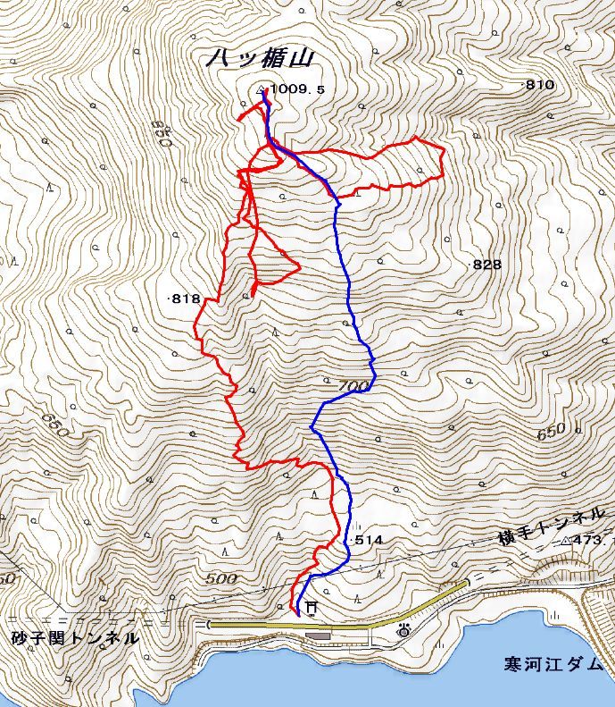 八ツ楯山 ～ ２０１９年２月１１日_f0170180_10141063.jpg