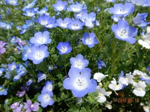 f0348480_16220949.jpg