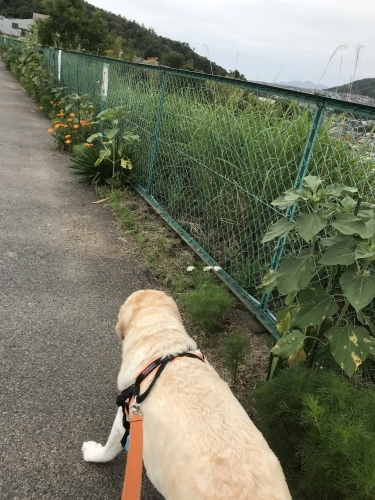f0315081_23155853.jpeg