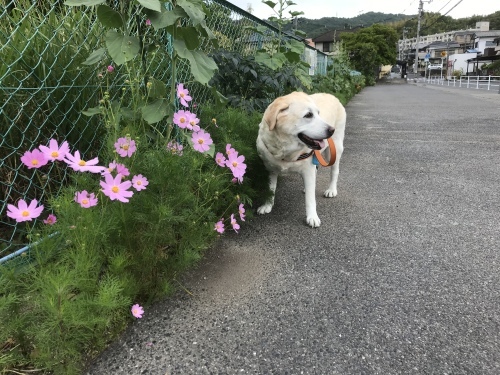 f0315081_23162684.jpeg