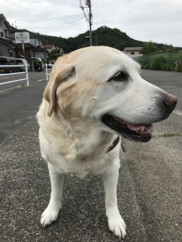 f0315081_23182664.jpeg