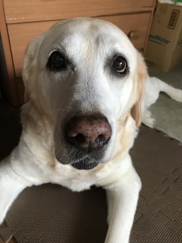 f0315081_23201890.jpeg