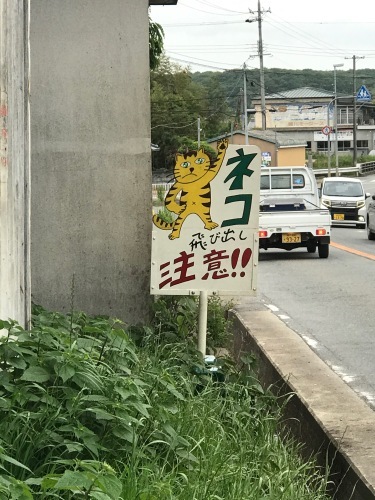 a0216583_22525734.jpeg