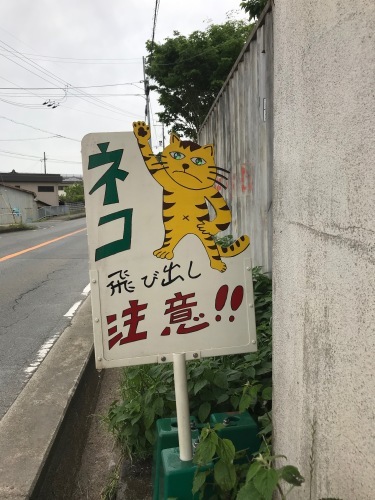 a0216583_22530128.jpeg