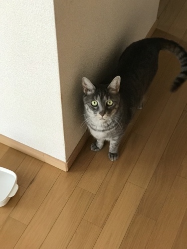 c0340786_13070609.jpeg
