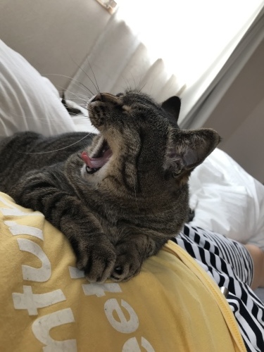 c0340786_13082388.jpeg
