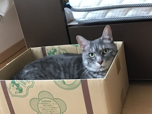 c0340786_13100665.jpeg