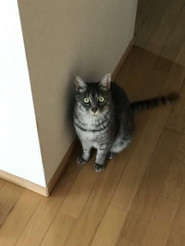 c0340786_13123014.jpeg