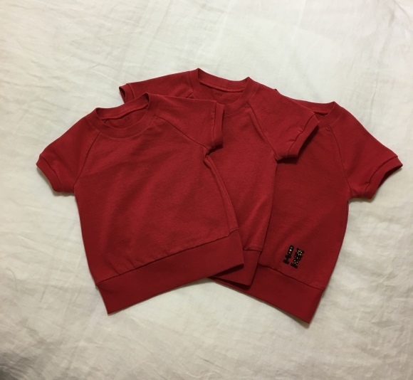 赤のTシャツ3枚作りました_f0314196_20205381.jpeg