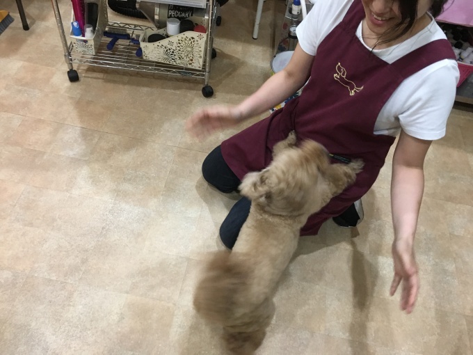 d0269898_18540744.jpeg