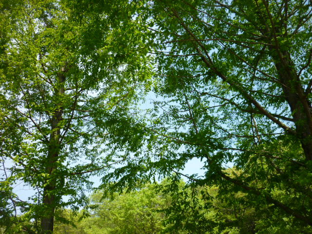 e0326699_15194000.jpg