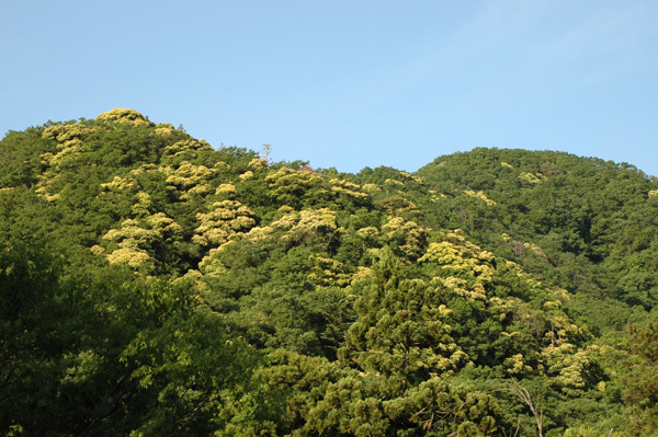 d0093903_22153506.jpg