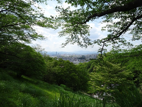 多摩丘陵を散策_c0051105_00134835.jpg