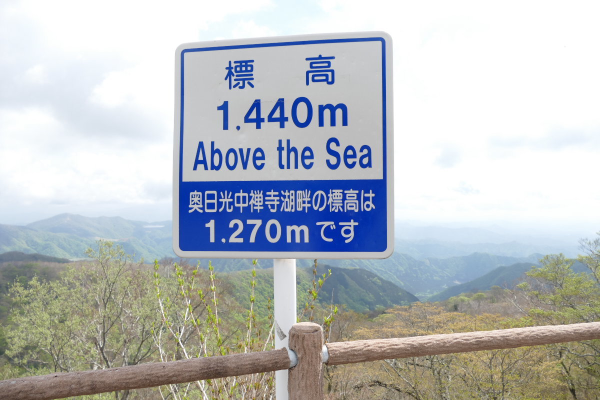 d0078406_07234073.jpg