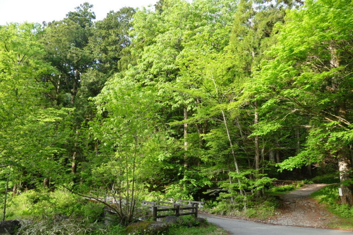 d0078406_07235052.jpg