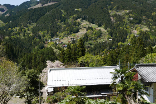 天界の村を歩く２ 関東山地 神流川_d0147406_14155196.jpg