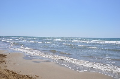 b0143308_21510397.jpg