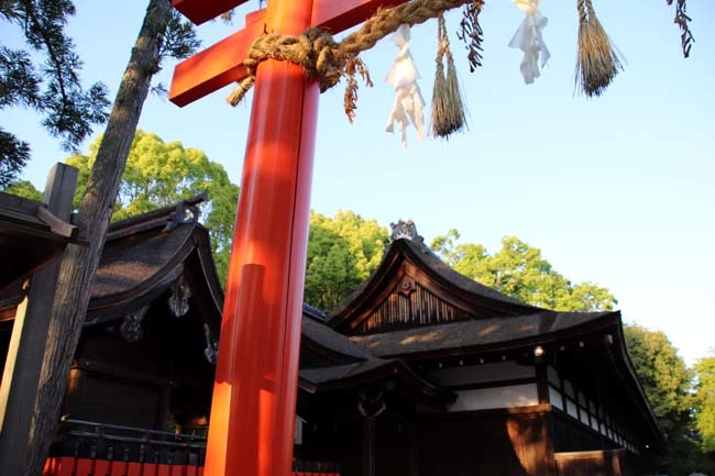 上賀茂神社も新緑の盛り_e0048413_17191264.jpg