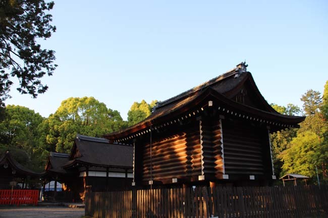 上賀茂神社も新緑の盛り_e0048413_17191914.jpg