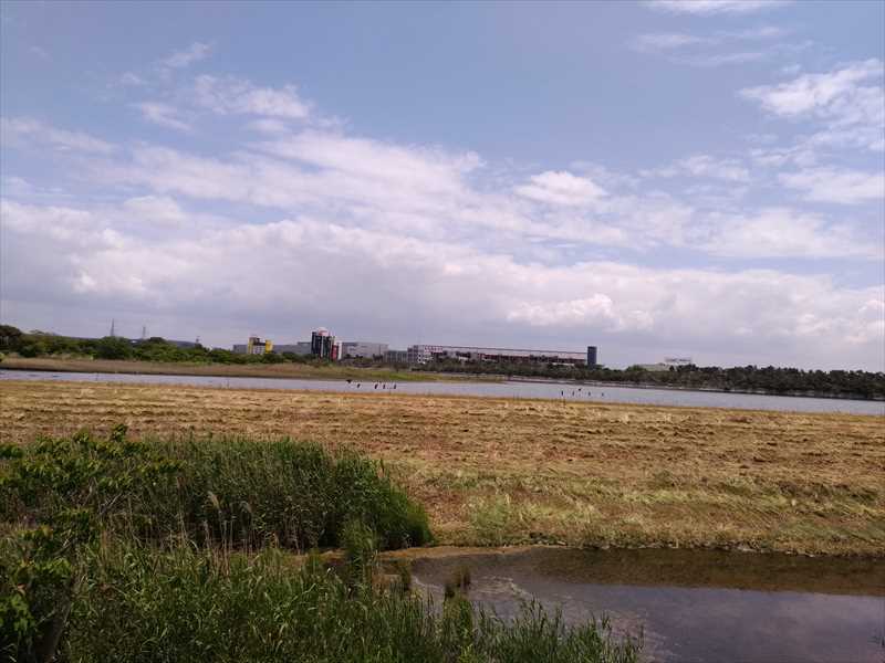 f0376214_14095516.jpg
