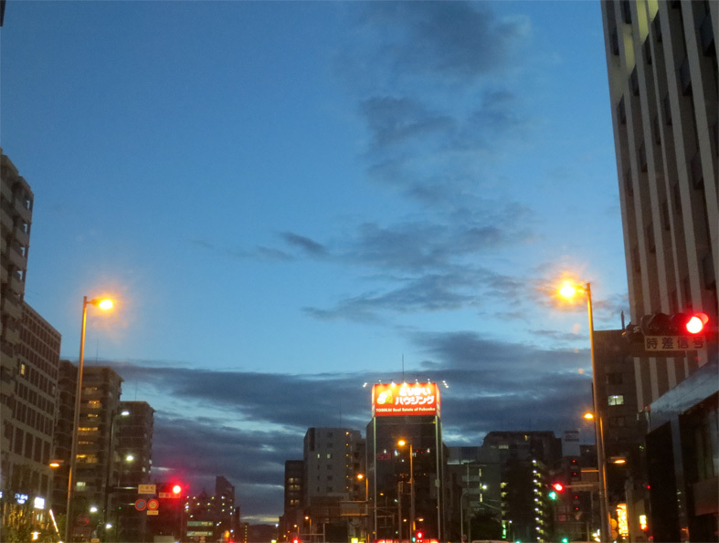 d0190217_21401223.jpg