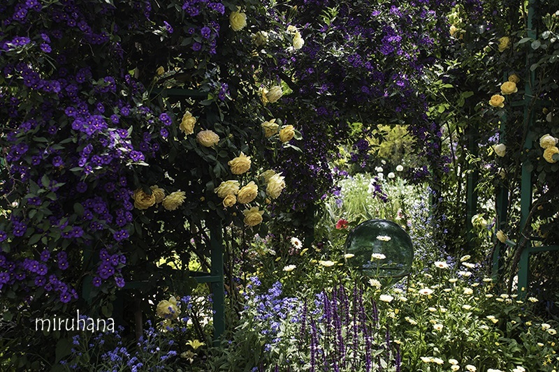 c0037519_00491126.jpg