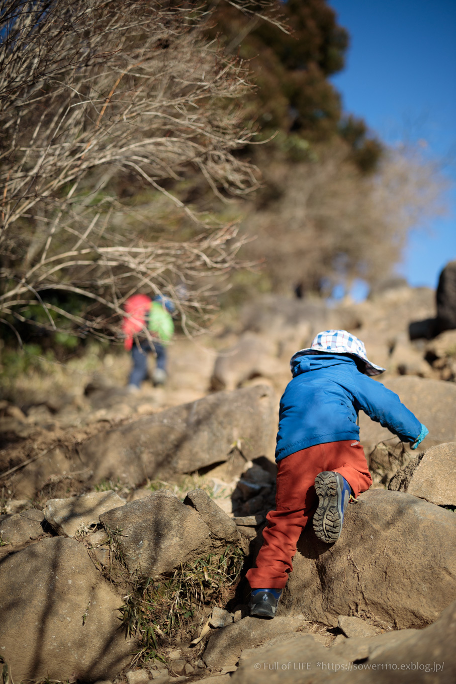 3歳5歳ちびっ子兄弟のチャレンジ春登山 筑波山 Full Of Life