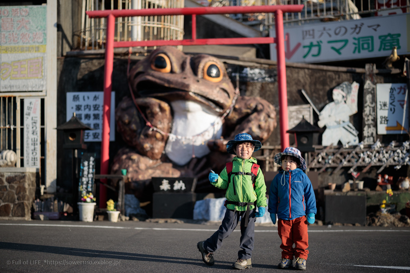 3歳5歳ちびっ子兄弟のチャレンジ春登山 筑波山 Full Of Life