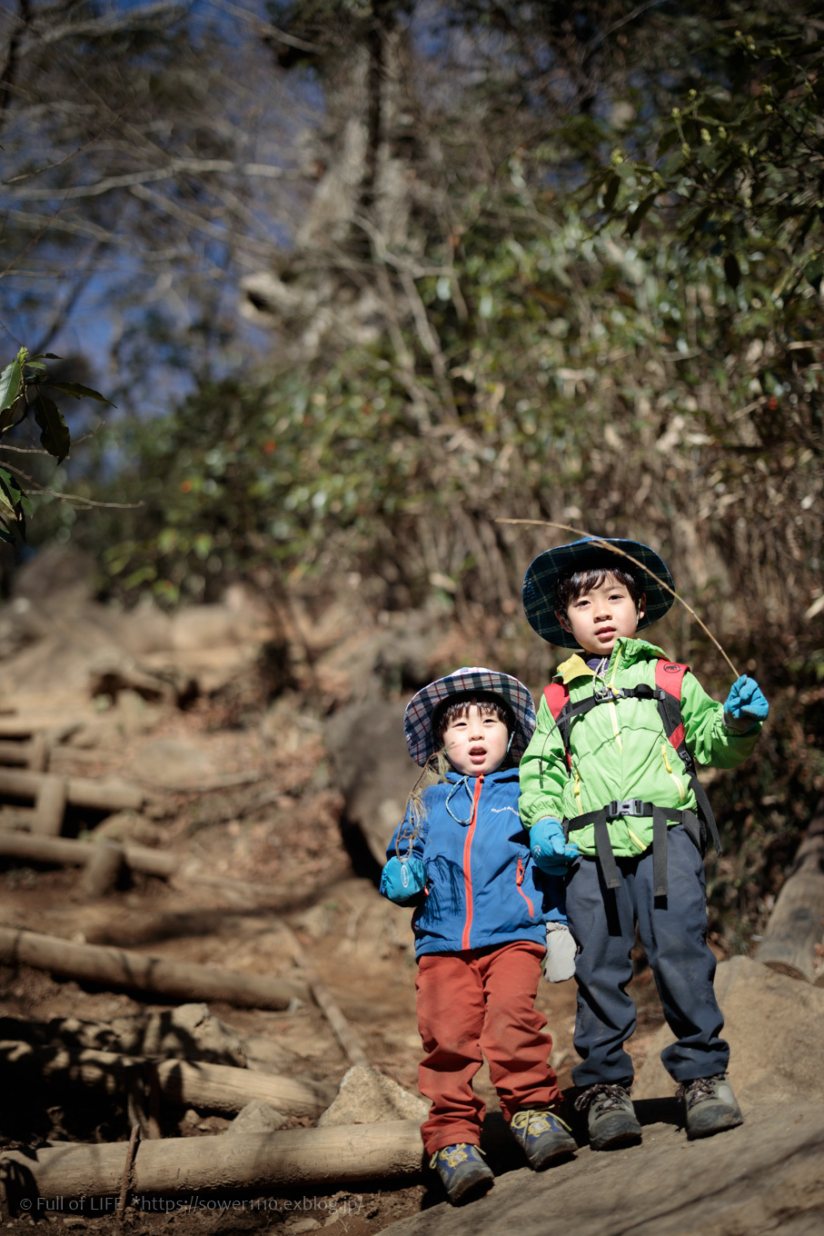 3歳5歳ちびっ子兄弟のチャレンジ春登山 筑波山 Full Of Life 3歳5歳ちびっ子兄弟のチャレンジ春登山 筑波山 Full Of Life