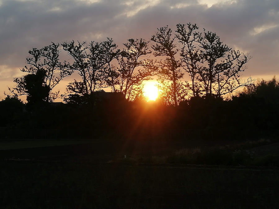 e0348420_03225800.jpg