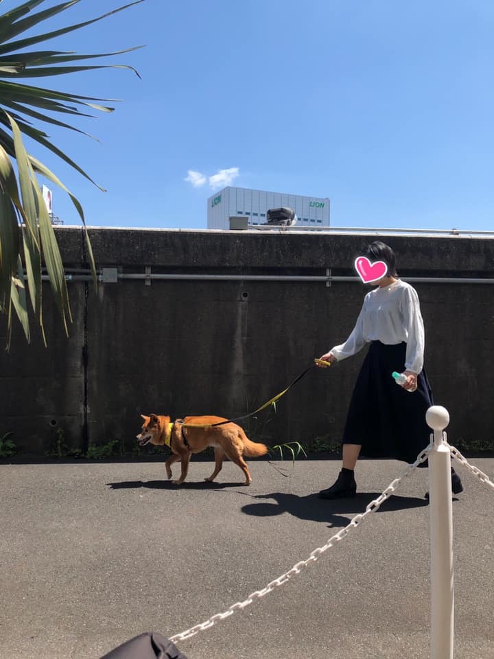 約9年ぶりの里帰り_d0046821_21373327.jpg