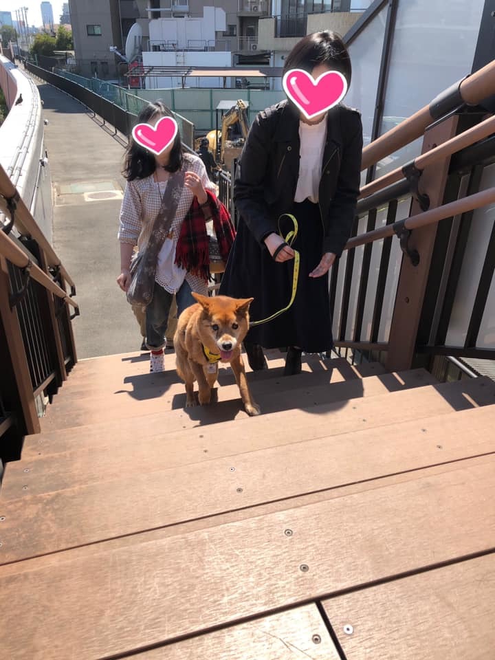 約9年ぶりの里帰り_d0046821_21384118.jpg