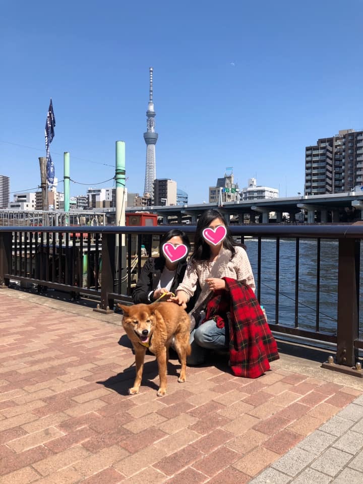 約9年ぶりの里帰り_d0046821_21400476.jpg