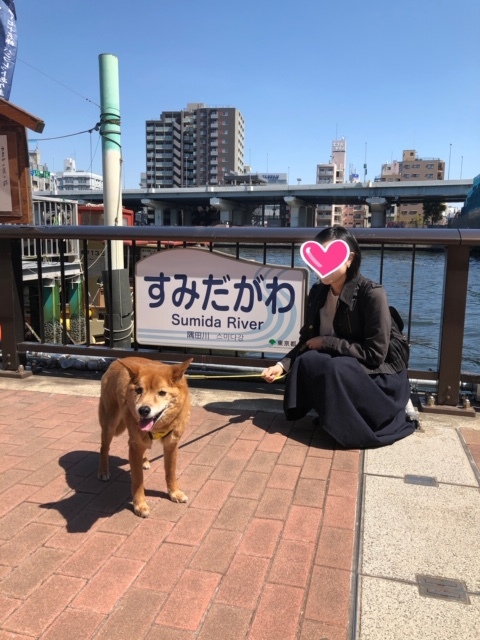 約9年ぶりの里帰り_d0046821_21415059.jpg