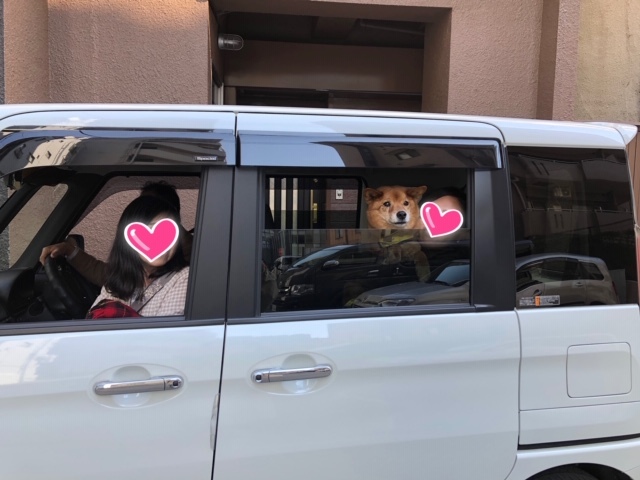 約9年ぶりの里帰り_d0046821_21452247.jpg