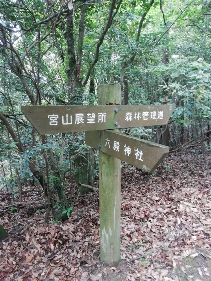 f0193521_21555516.jpg