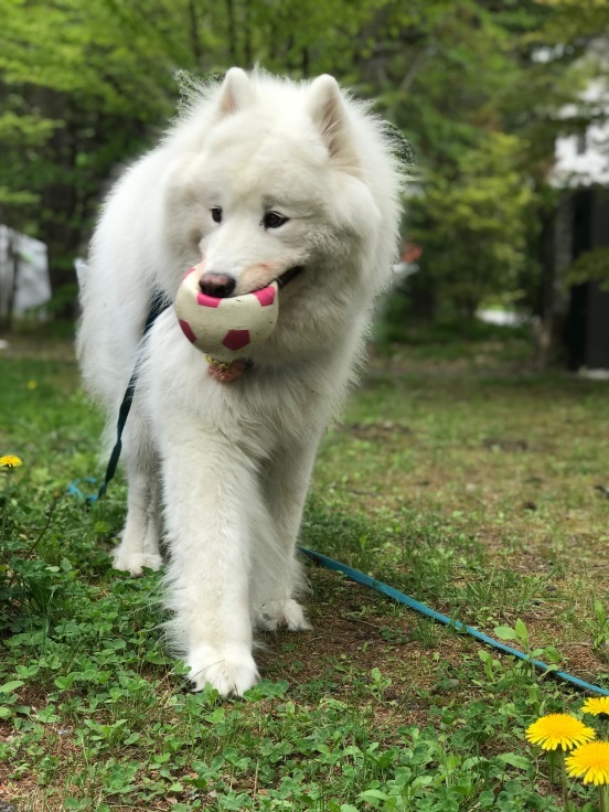 f0234023_21171955.jpeg