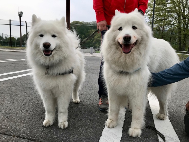 f0234023_21180655.jpeg